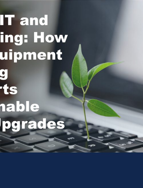 image of a computer keyboard with a small sprouted leaf coming out of it to illustrate the benefits of ICT equipment leasing for green it practices